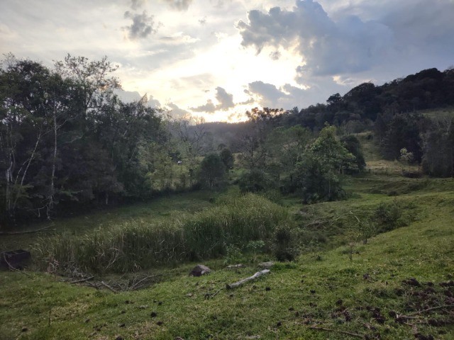 Fazenda à venda com 4 quartos, 4m² - Foto 5