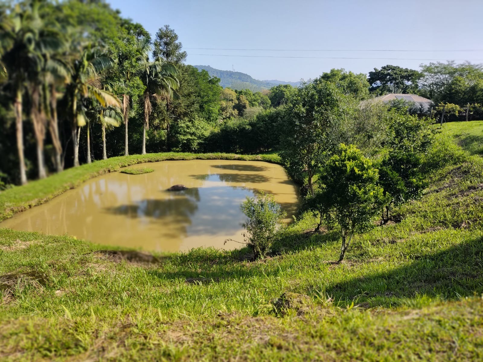 Chácara à venda com 5 quartos, 300m² - Foto 15