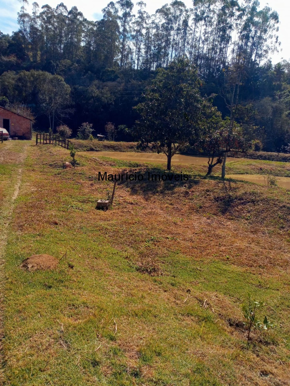 Fazenda à venda com 2 quartos, 7500m² - Foto 3