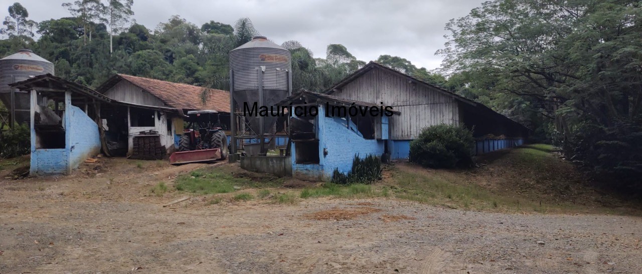 Fazenda à venda com 1 quarto, 20000m² - Foto 2