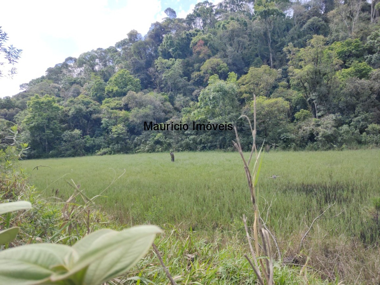 Fazenda à venda com 1 quarto, 5m² - Foto 7