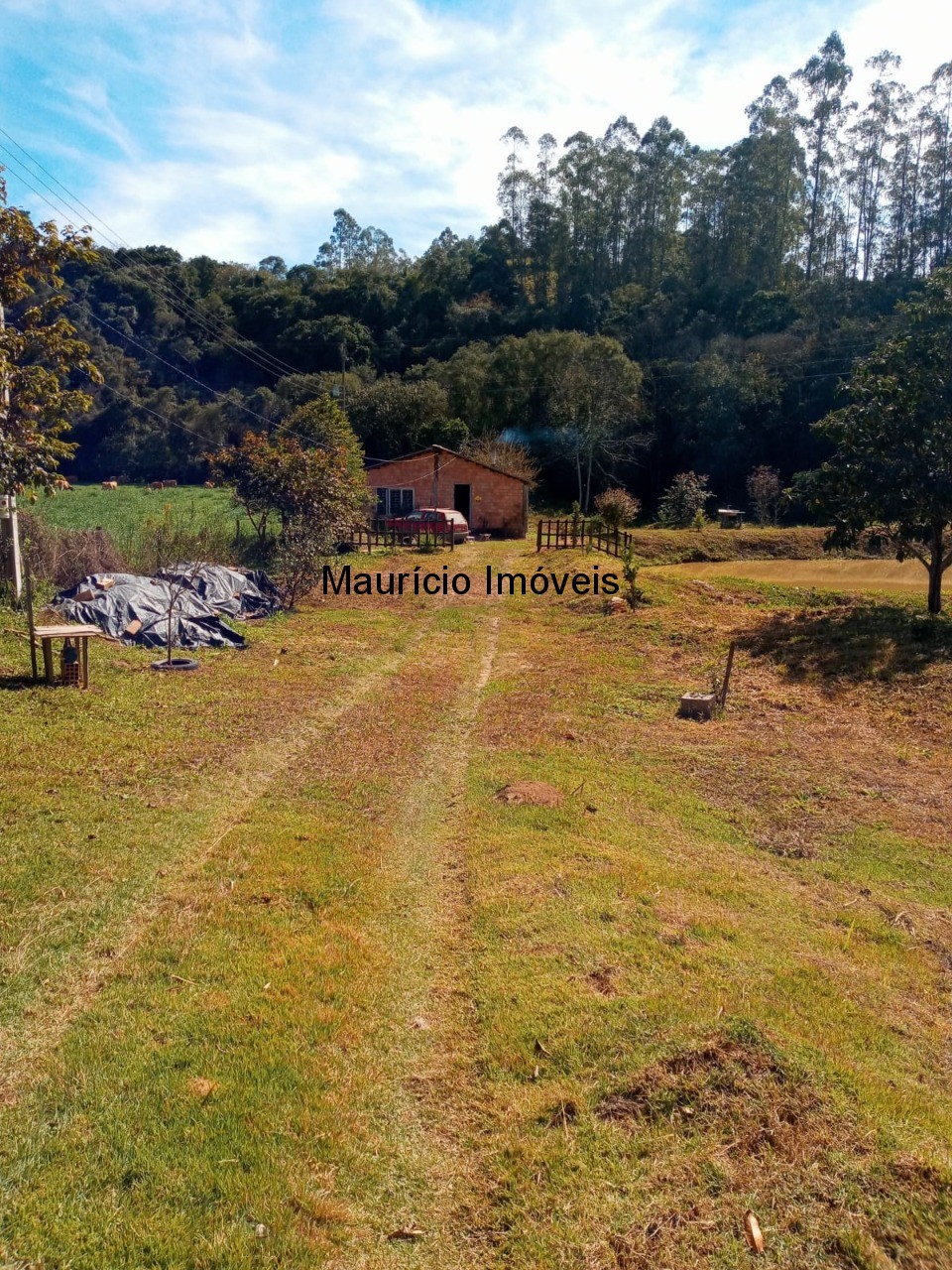 Fazenda à venda com 2 quartos, 7500m² - Foto 1