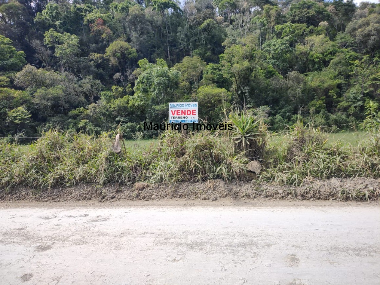 Fazenda à venda com 1 quarto, 5m² - Foto 8