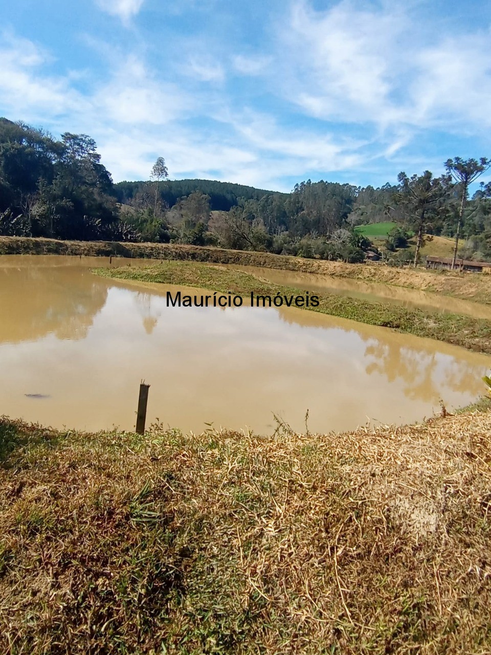 Fazenda à venda com 2 quartos, 7500m² - Foto 4