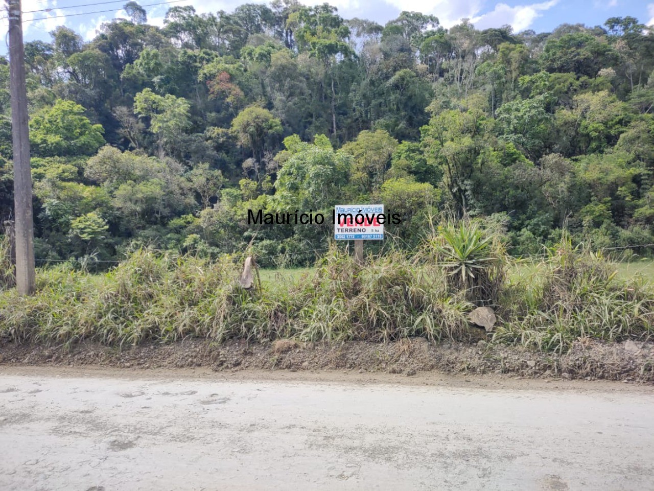 Fazenda à venda com 1 quarto, 5m² - Foto 6