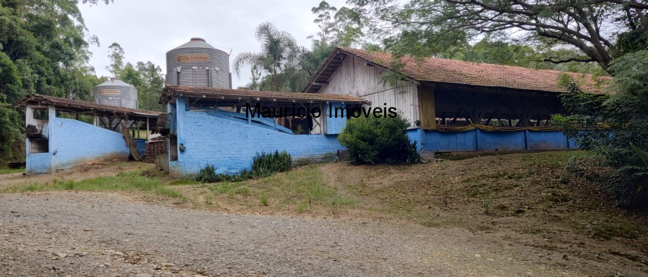 Fazenda à venda com 1 quarto, 20000m² - Foto 6