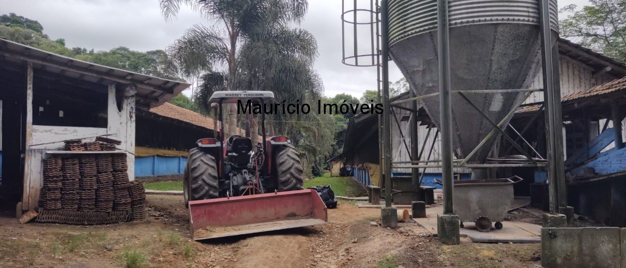 Fazenda à venda com 1 quarto, 20000m² - Foto 14