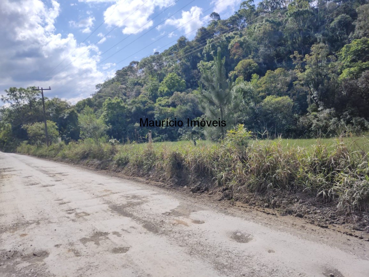 Fazenda à venda com 1 quarto, 5m² - Foto 5