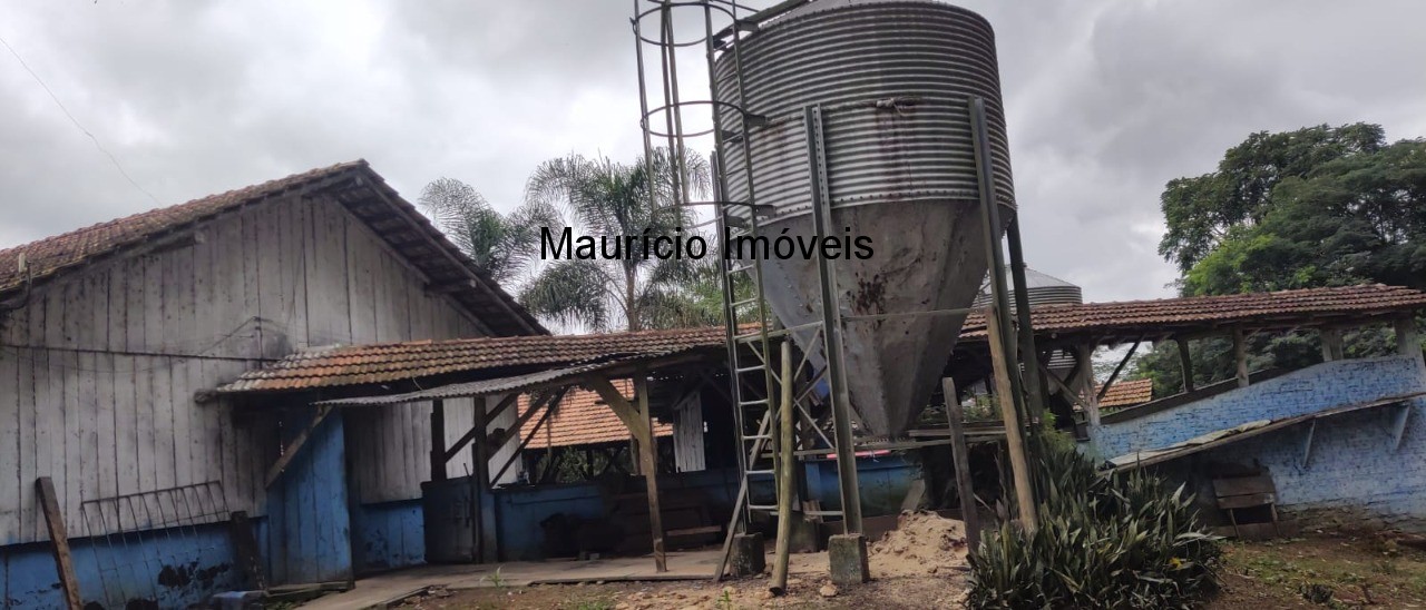 Fazenda à venda com 1 quarto, 20000m² - Foto 13