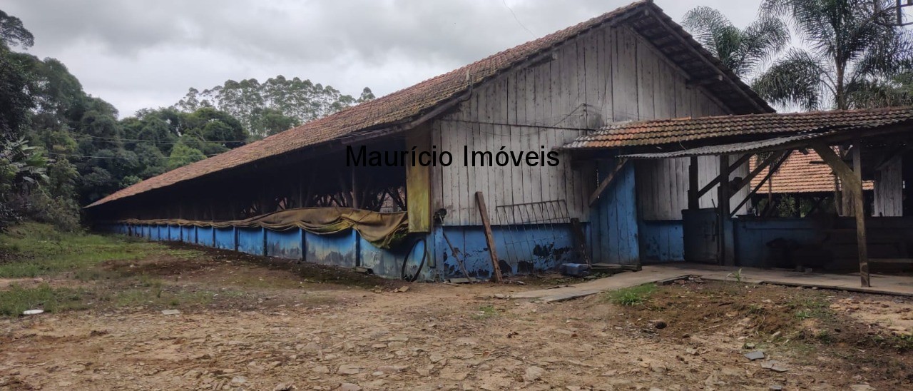 Fazenda à venda com 1 quarto, 20000m² - Foto 11