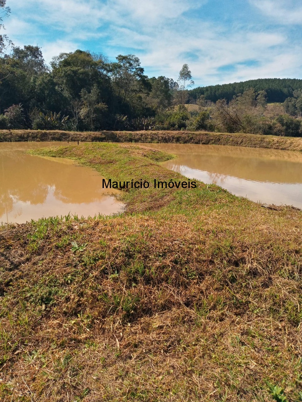 Fazenda à venda com 2 quartos, 7500m² - Foto 9