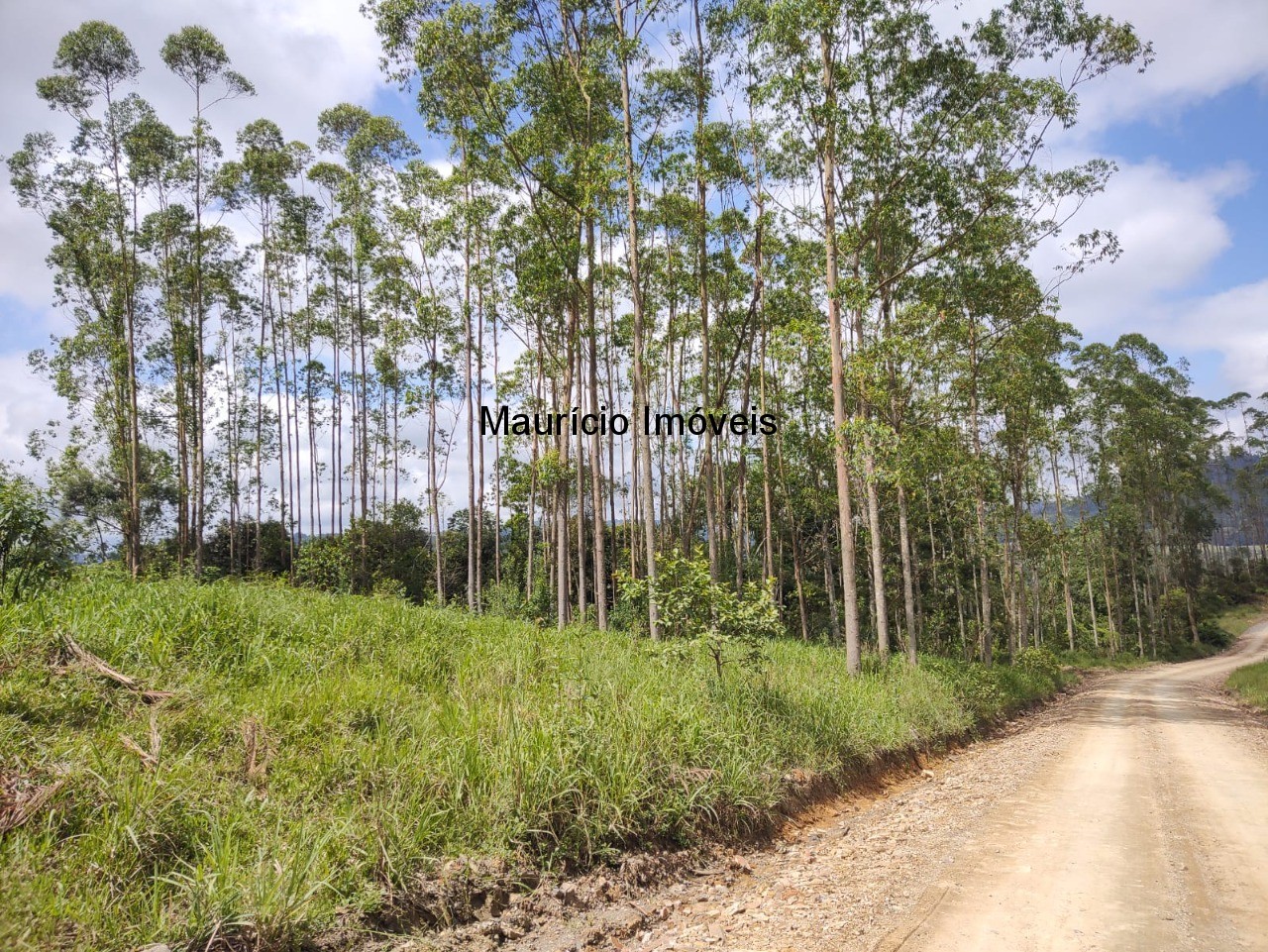 Fazenda à venda com 1 quarto, 9m² - Foto 22