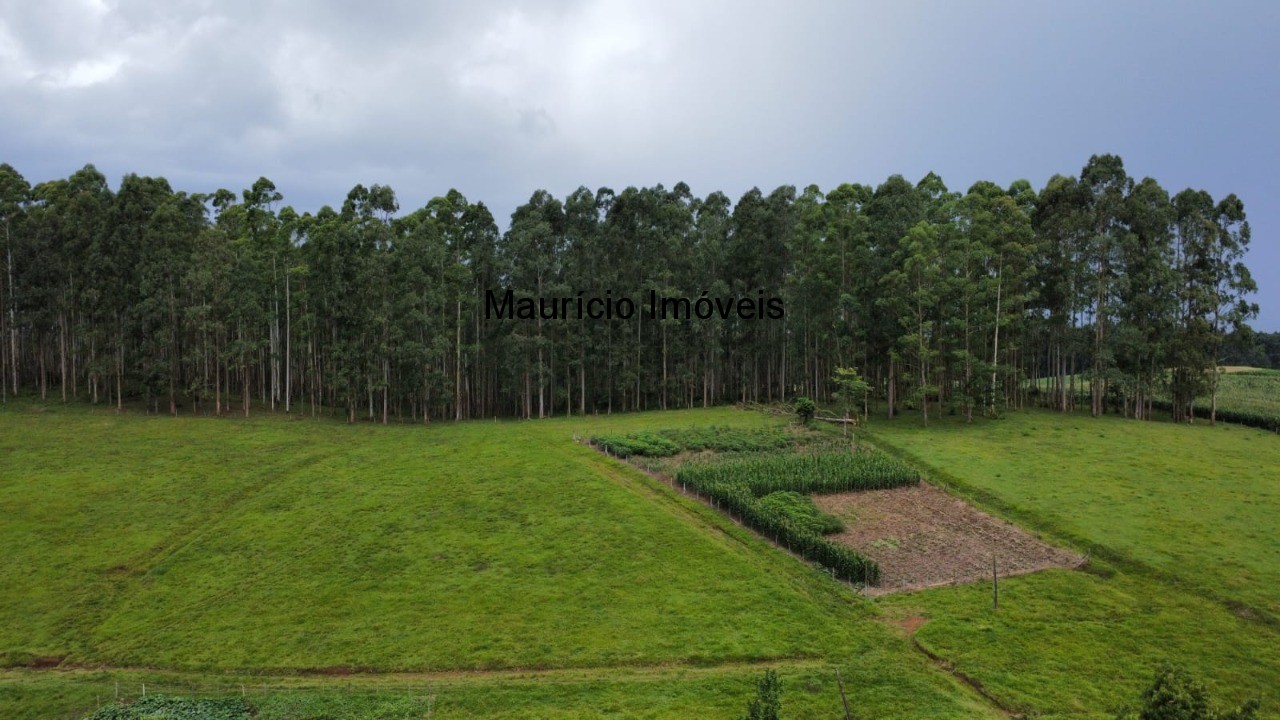 Fazenda à venda com 5 quartos, 40678m² - Foto 6