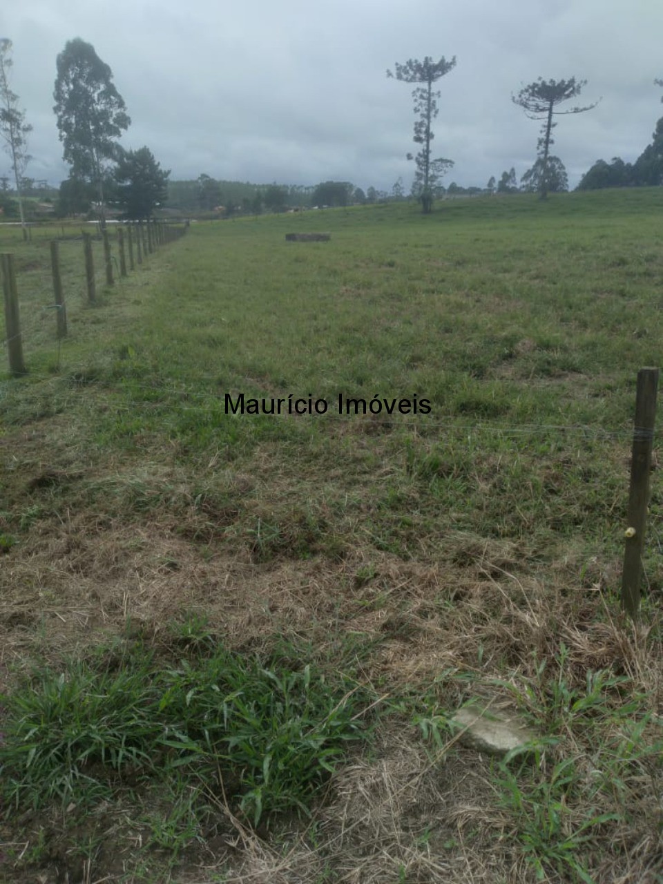 Fazenda à venda com 5 quartos, 50m² - Foto 12