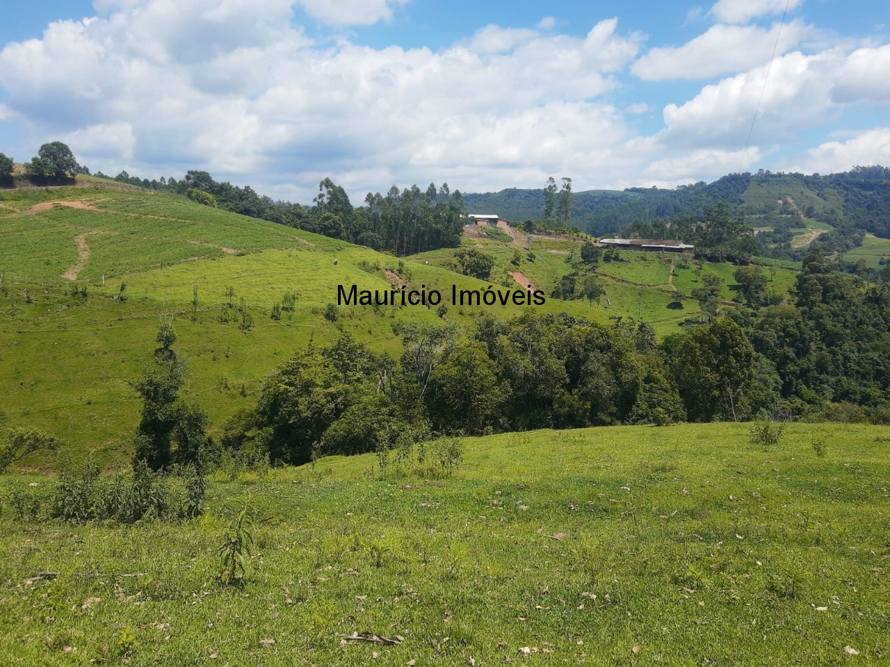 Fazenda à venda com 2 quartos, 18m² - Foto 56