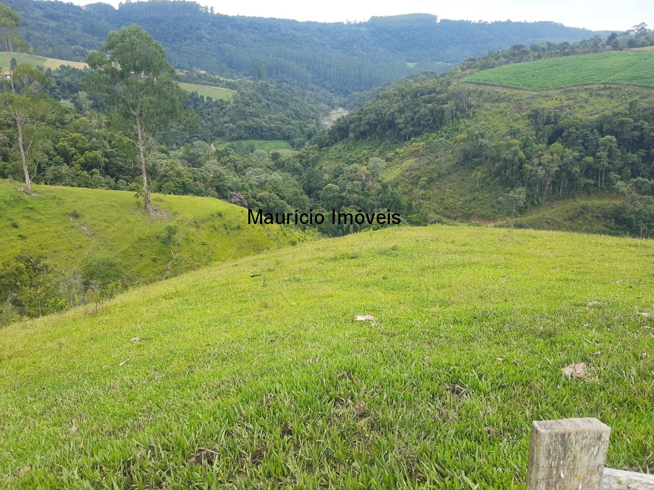 Fazenda à venda com 2 quartos, 18m² - Foto 21