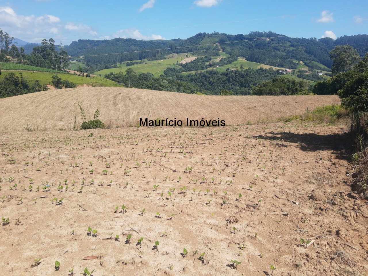 Fazenda à venda com 2 quartos, 11m² - Foto 32