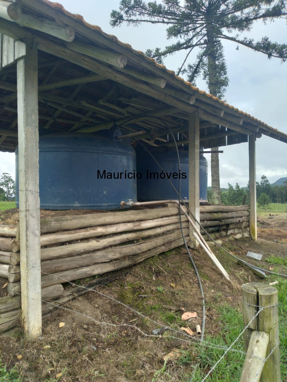 Fazenda à venda com 5 quartos, 50m² - Foto 33