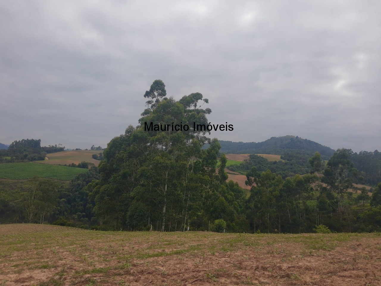 Fazenda à venda com 2 quartos, 18m² - Foto 50