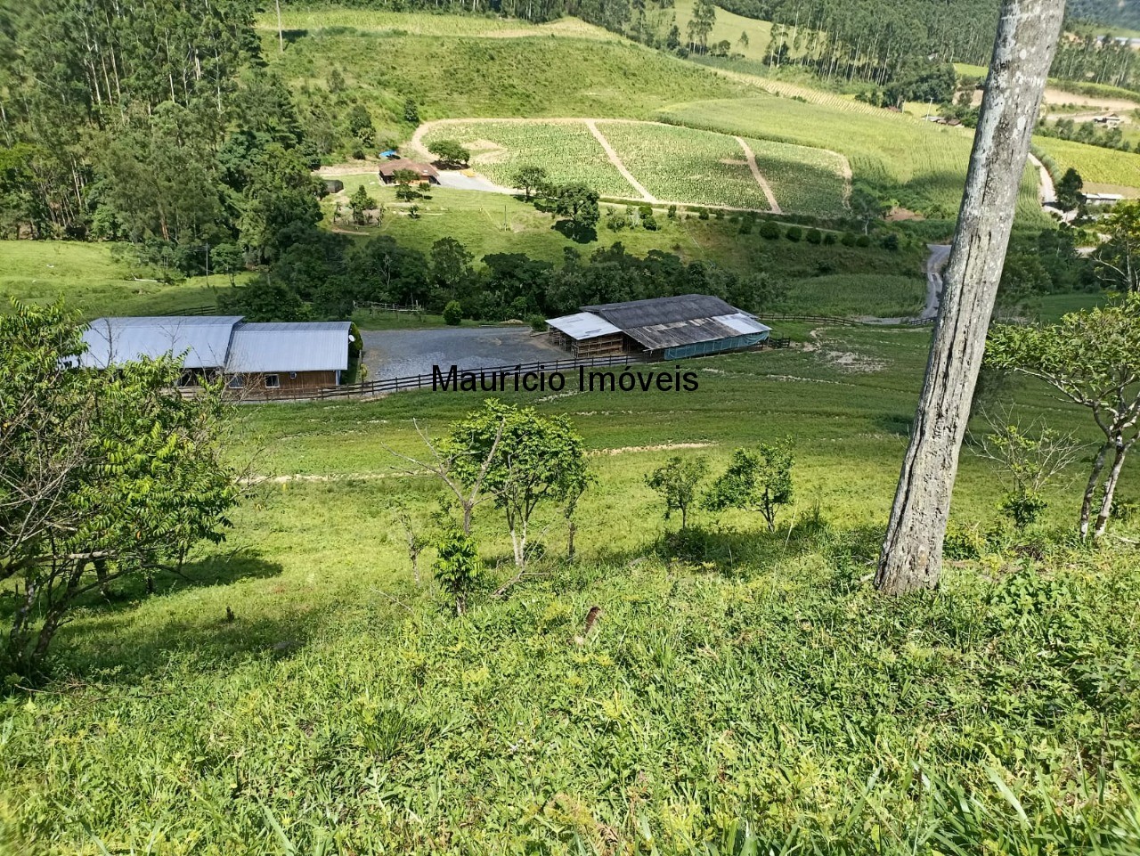 Fazenda-Sítio-Chácara, 6 hectares - Foto 1