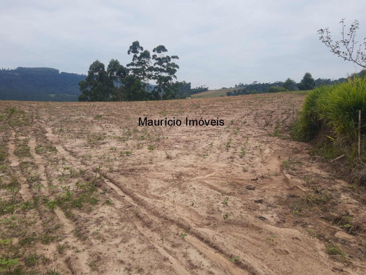 Fazenda à venda com 2 quartos, 18m² - Foto 53