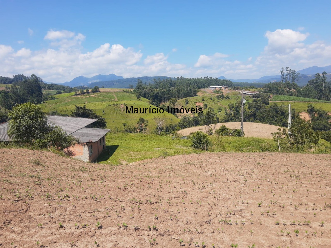 Fazenda à venda com 2 quartos, 11m² - Foto 36