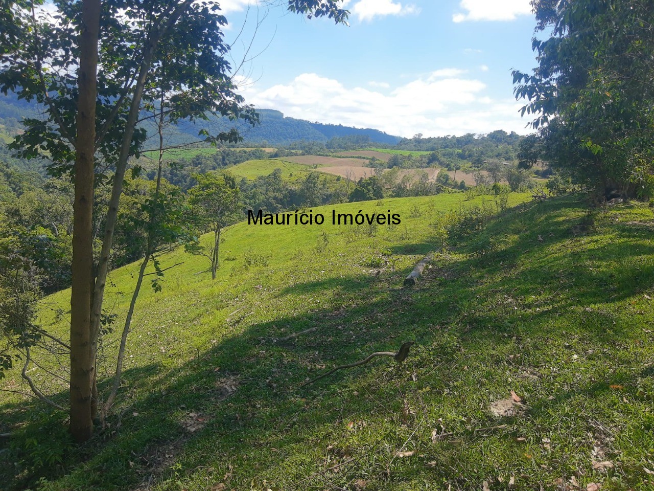 Fazenda à venda com 2 quartos, 11m² - Foto 3