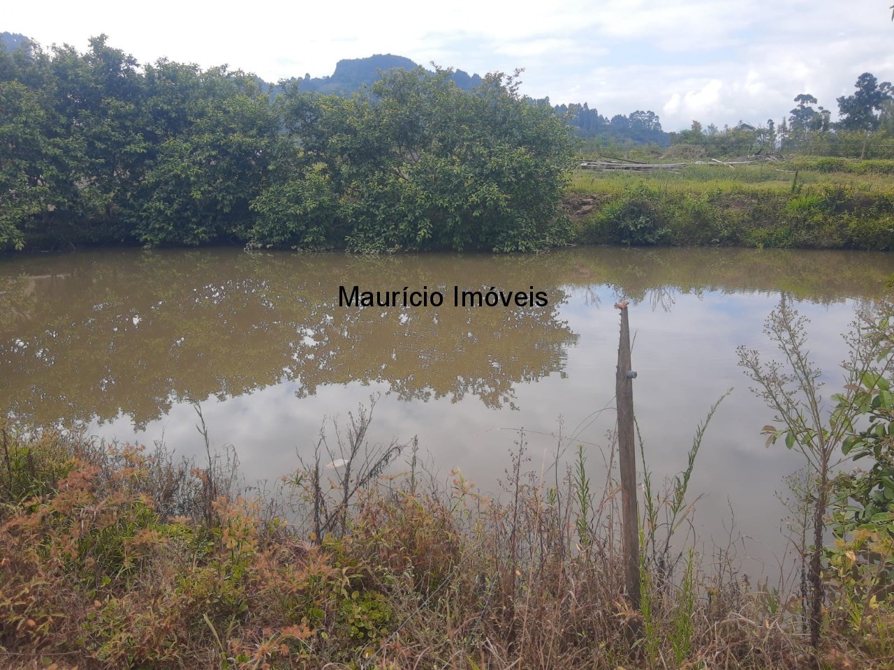 Fazenda à venda com 2 quartos, 18m² - Foto 46