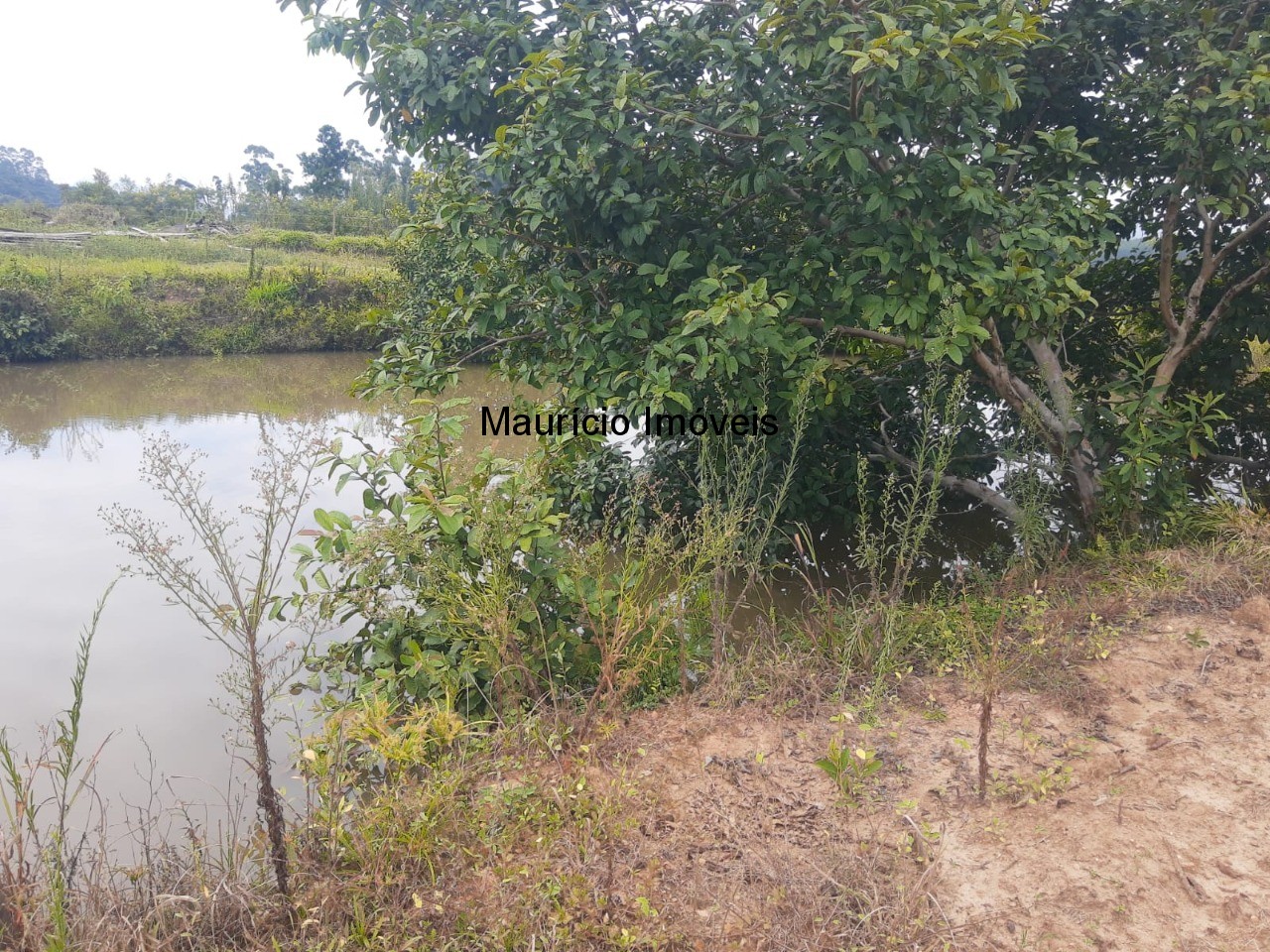 Fazenda à venda com 2 quartos, 18m² - Foto 47