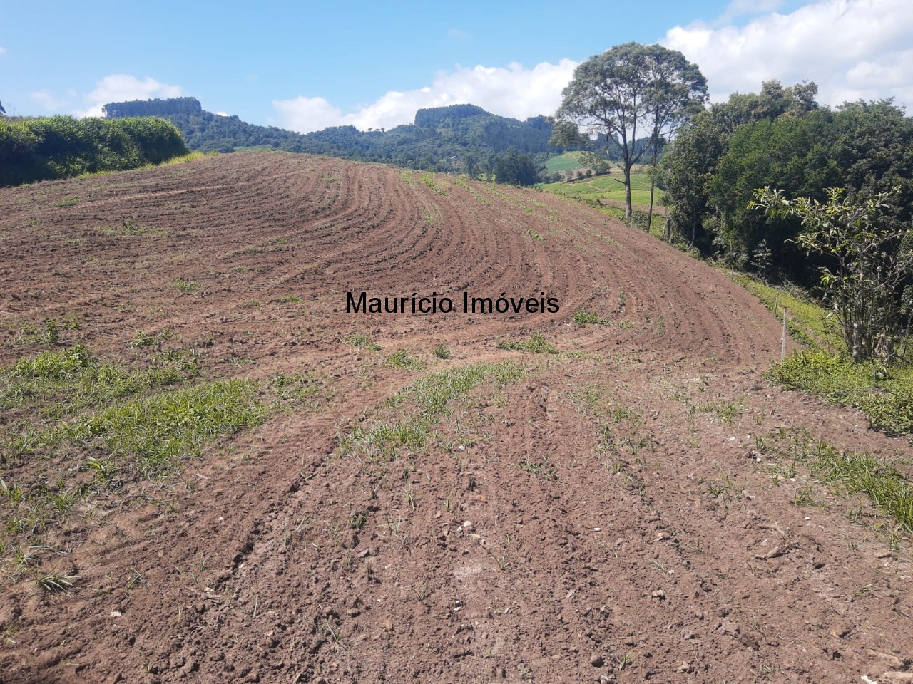 Fazenda à venda com 2 quartos, 11m² - Foto 15