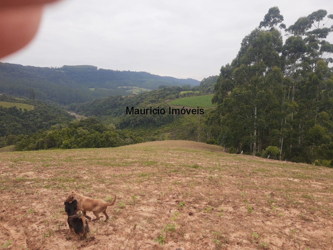 Fazenda à venda com 2 quartos, 18m² - Foto 55