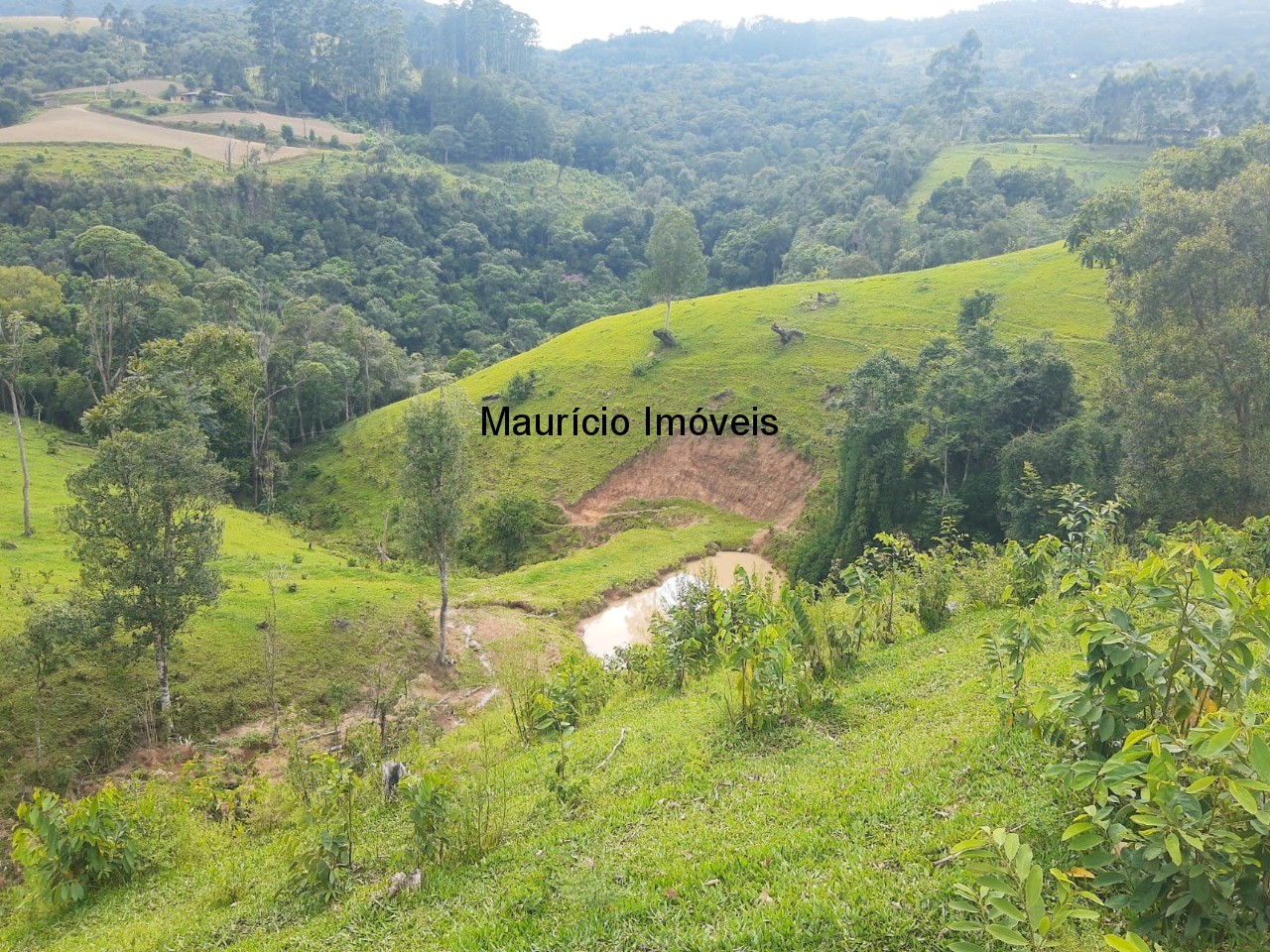 Fazenda à venda com 2 quartos, 18m² - Foto 32