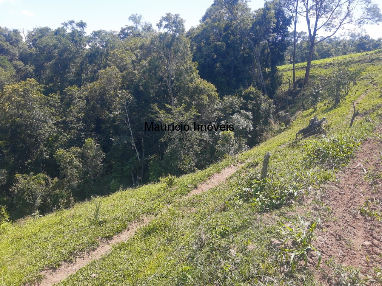 Fazenda à venda com 2 quartos, 11m² - Foto 8