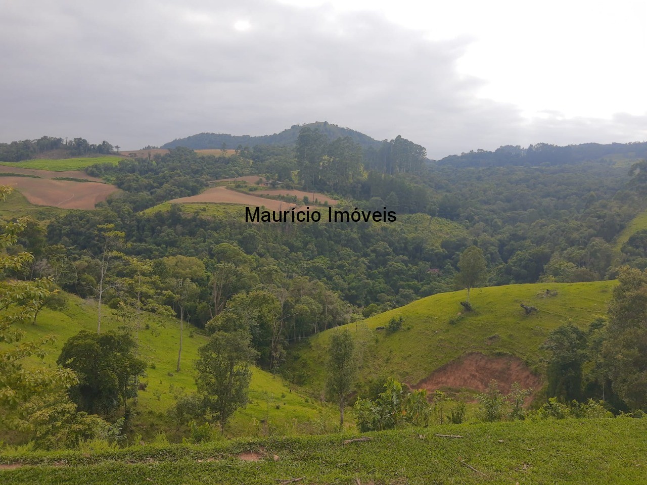 Fazenda à venda com 2 quartos, 18m² - Foto 34