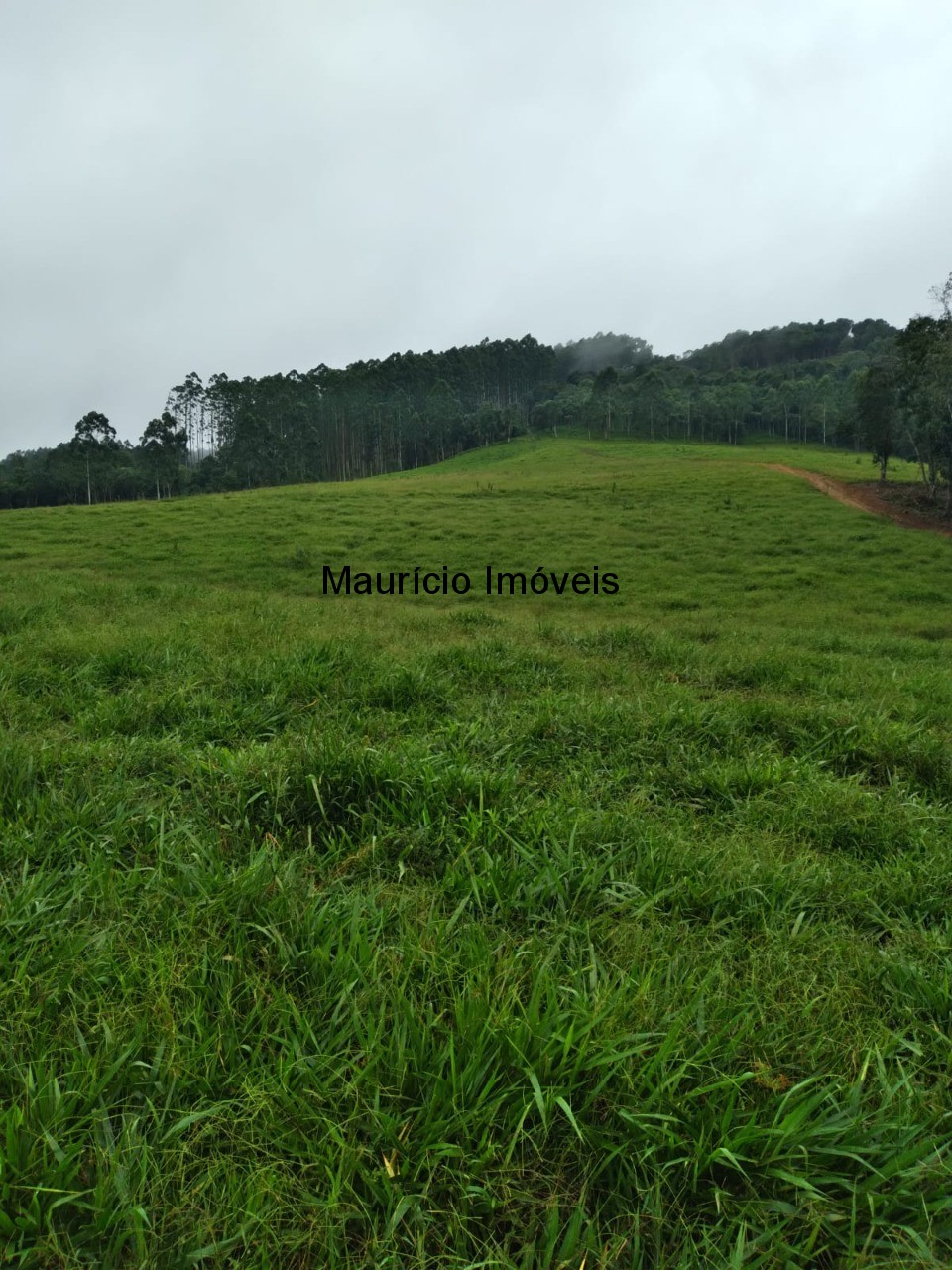 Fazenda à venda com 5 quartos, 50m² - Foto 20