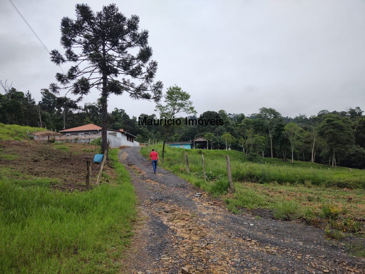 Loteamento e Condomínio à venda, 10000m² - Foto 8