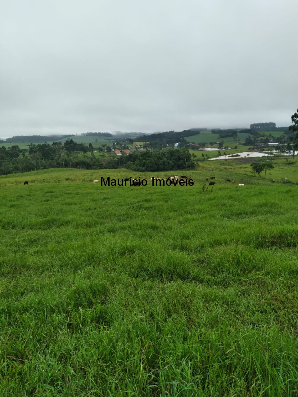 Fazenda à venda com 5 quartos, 50m² - Foto 25