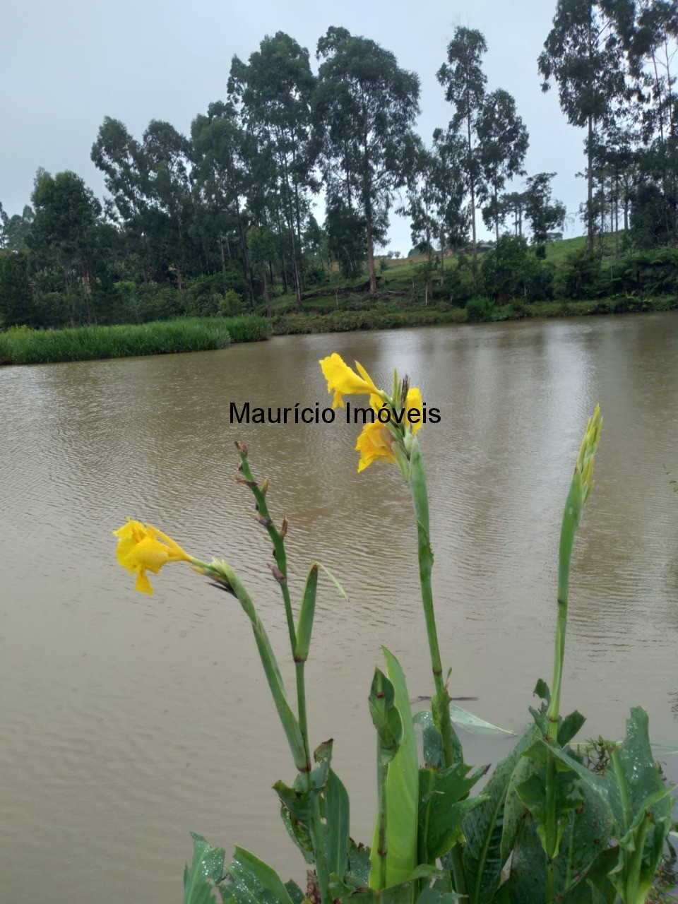 Fazenda à venda com 5 quartos, 50m² - Foto 19