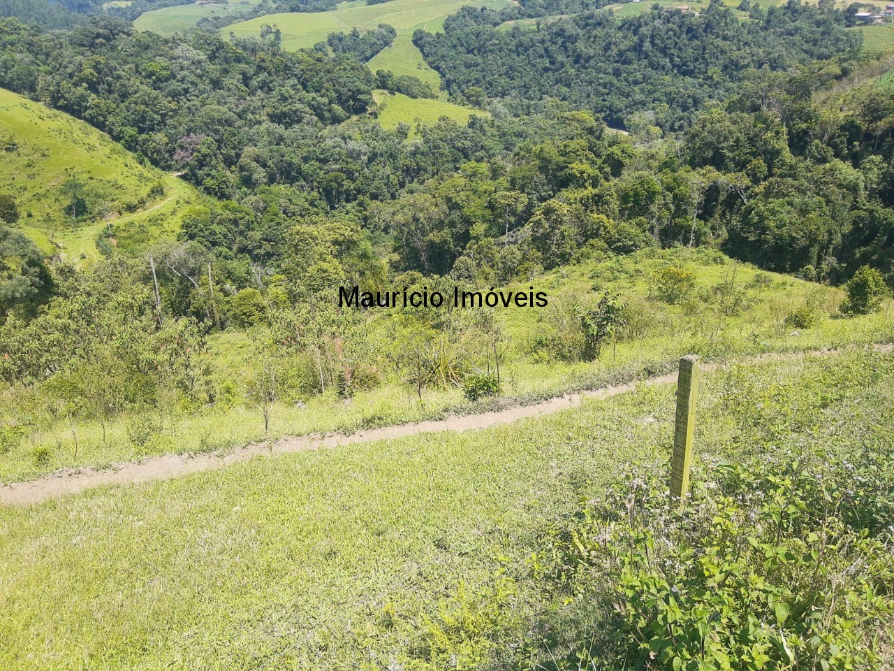 Fazenda à venda com 2 quartos, 11m² - Foto 9