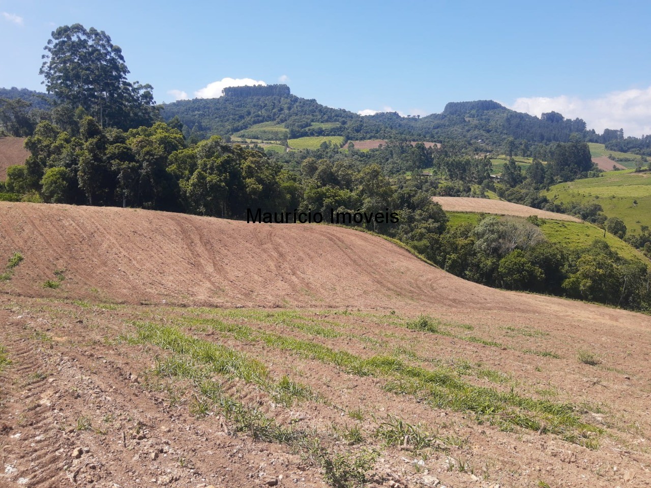 Fazenda à venda com 2 quartos, 11m² - Foto 25