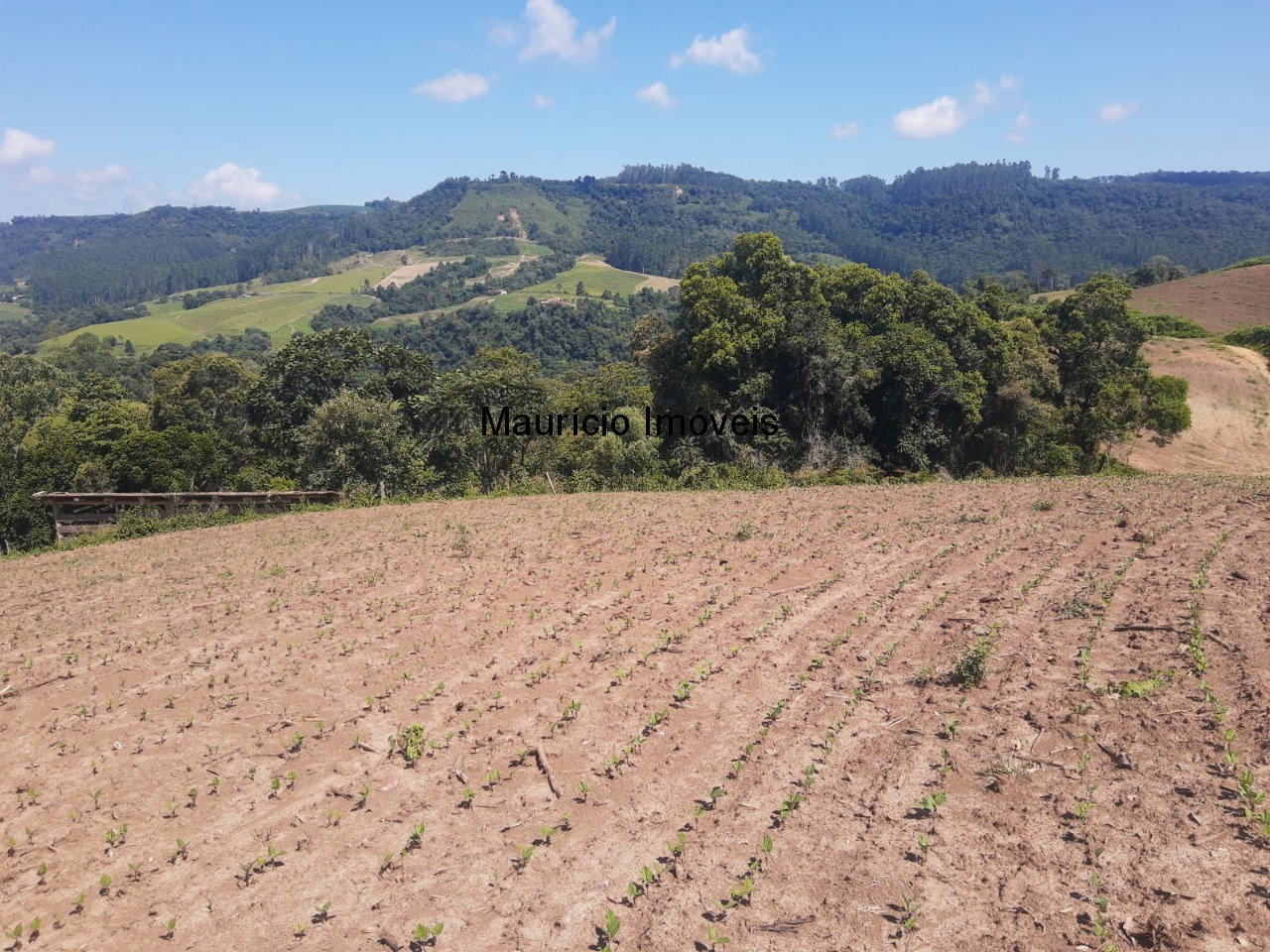 Fazenda à venda com 2 quartos, 11m² - Foto 35