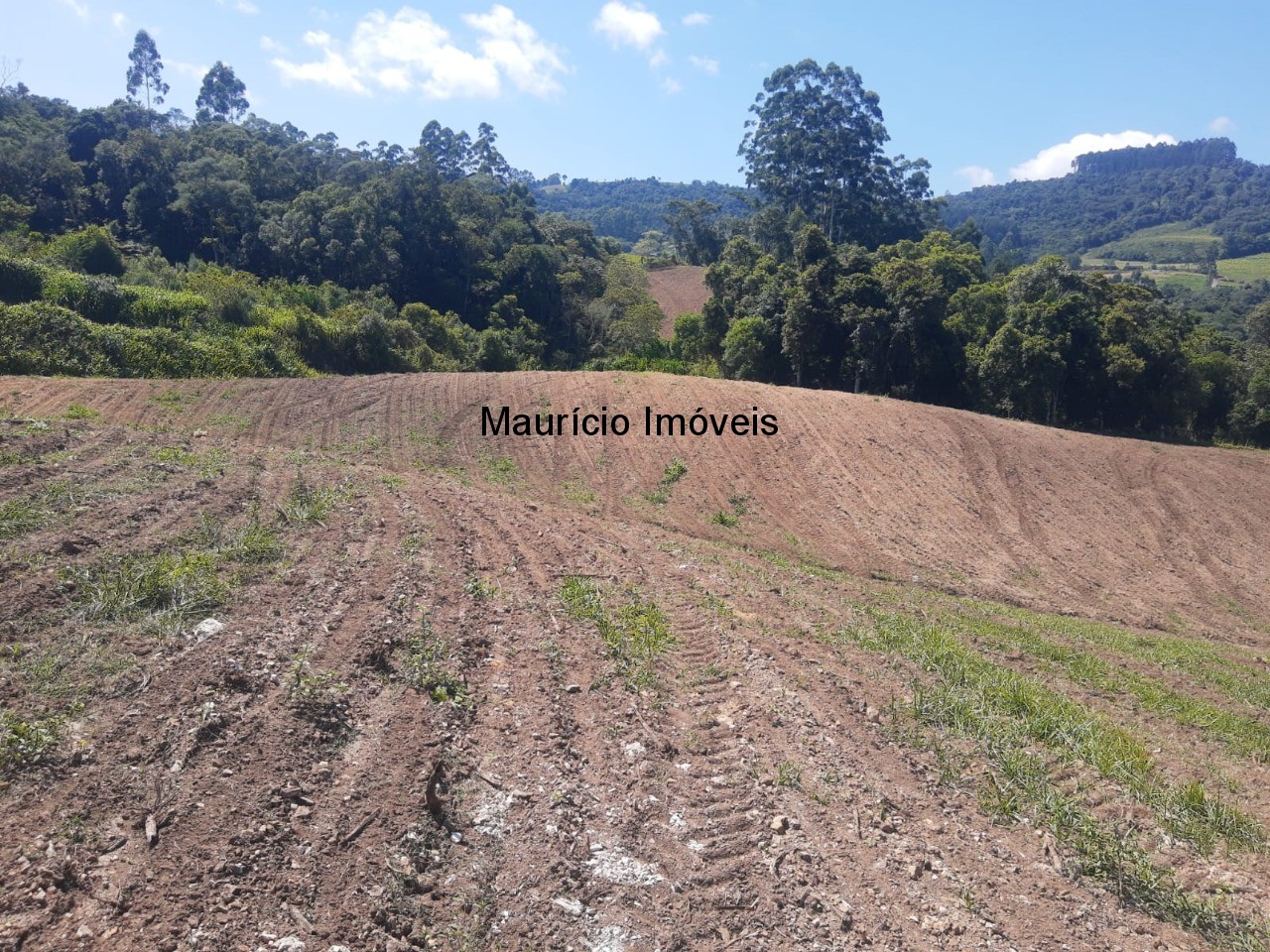 Fazenda à venda com 2 quartos, 11m² - Foto 24