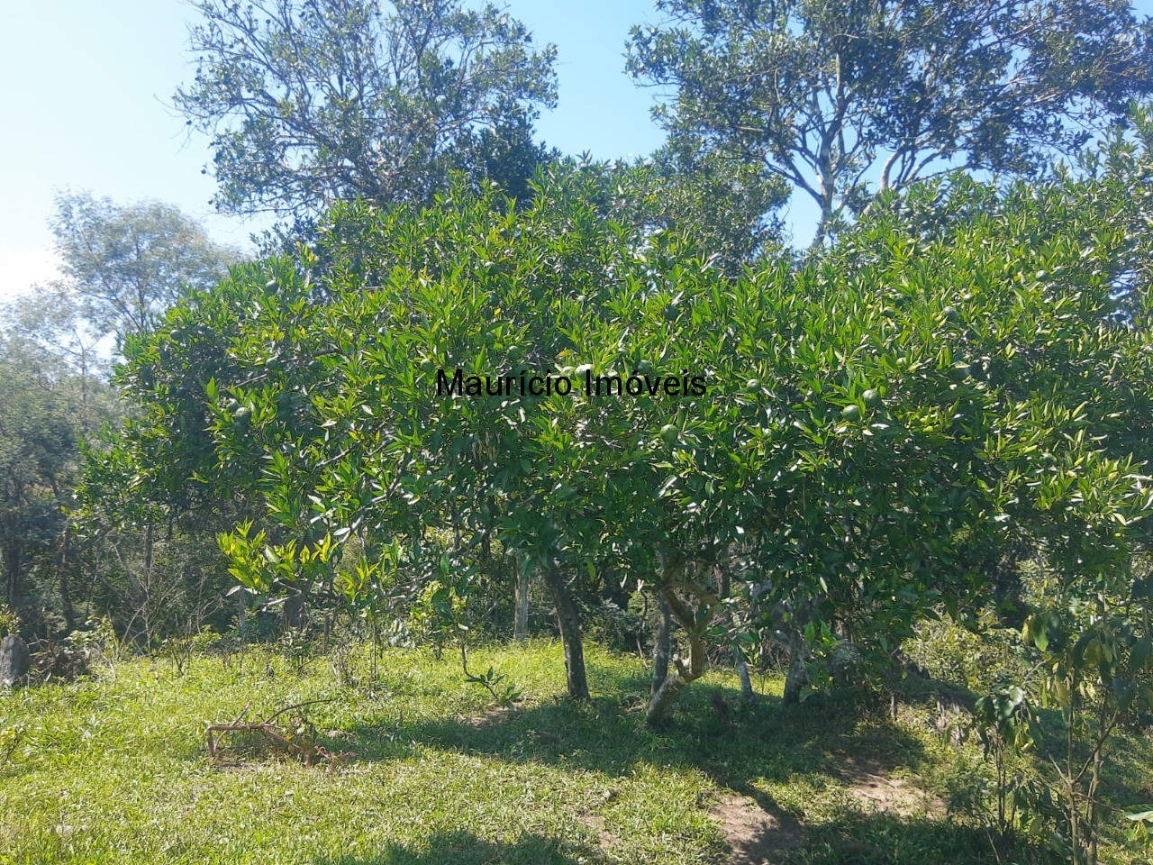 Fazenda à venda com 2 quartos, 11m² - Foto 17