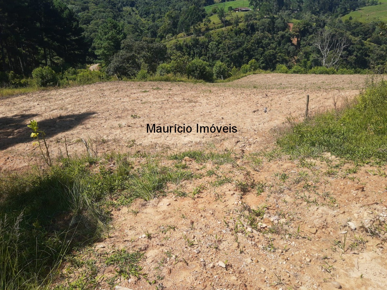 Fazenda à venda com 2 quartos, 11m² - Foto 34