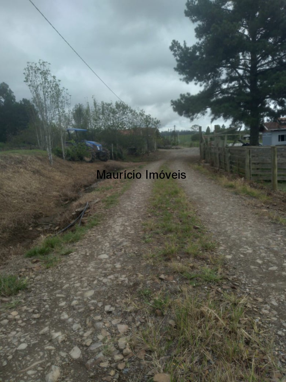 Fazenda à venda com 5 quartos, 50m² - Foto 13