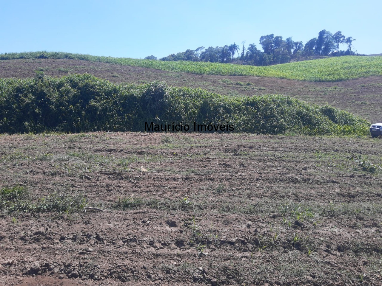 Fazenda à venda com 2 quartos, 11m² - Foto 22