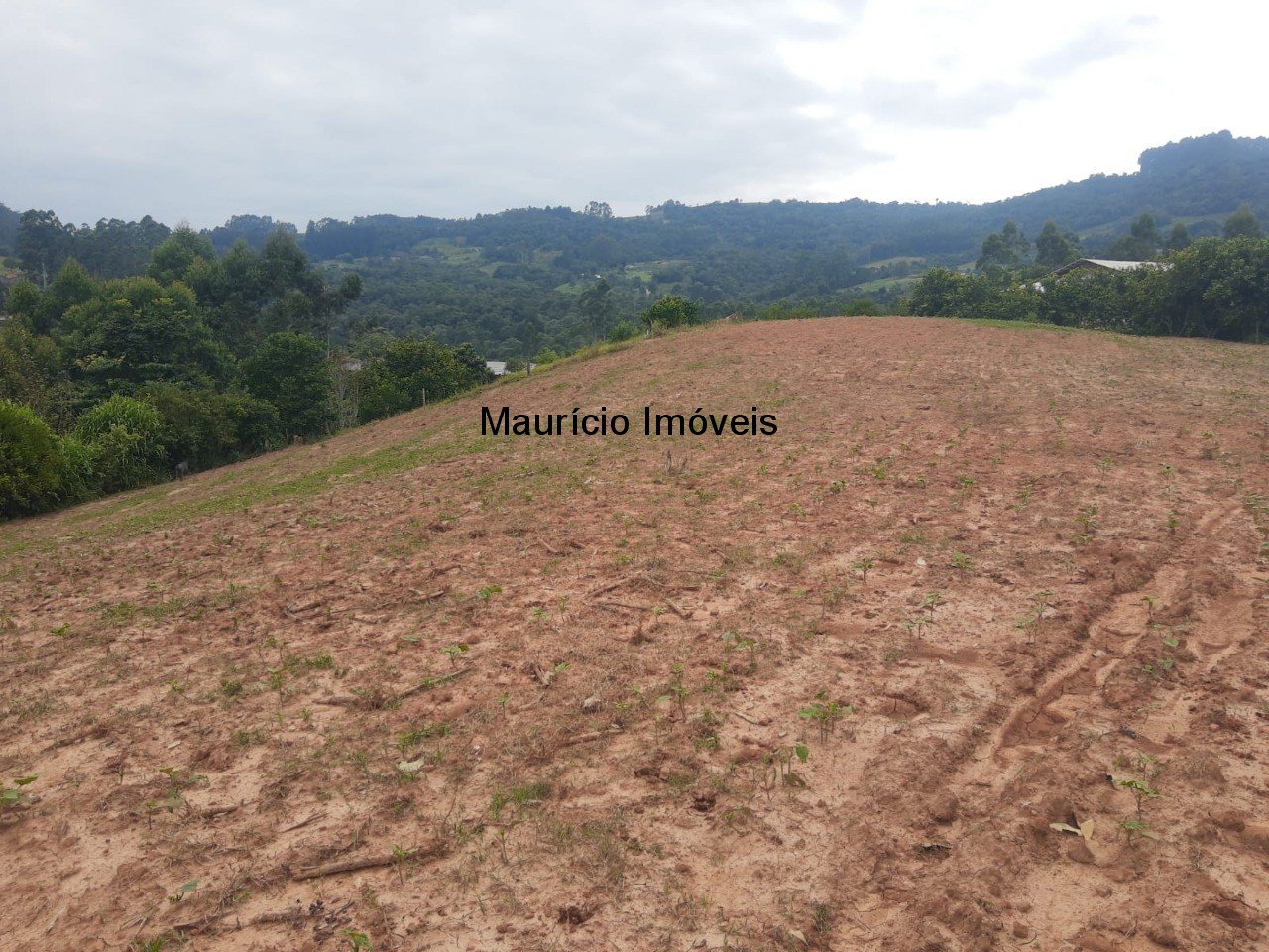 Fazenda à venda com 2 quartos, 18m² - Foto 51