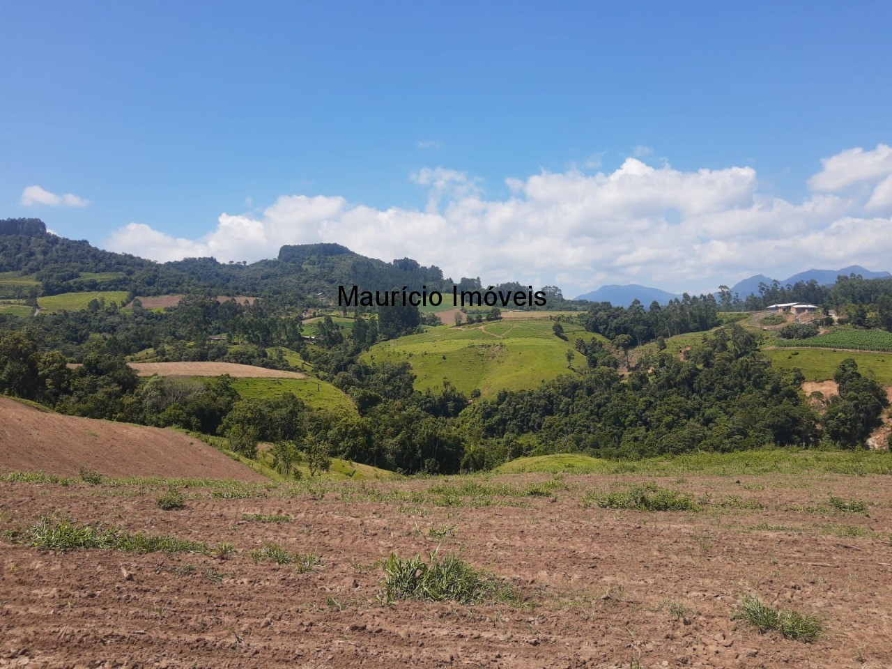 Fazenda à venda com 2 quartos, 11m² - Foto 14