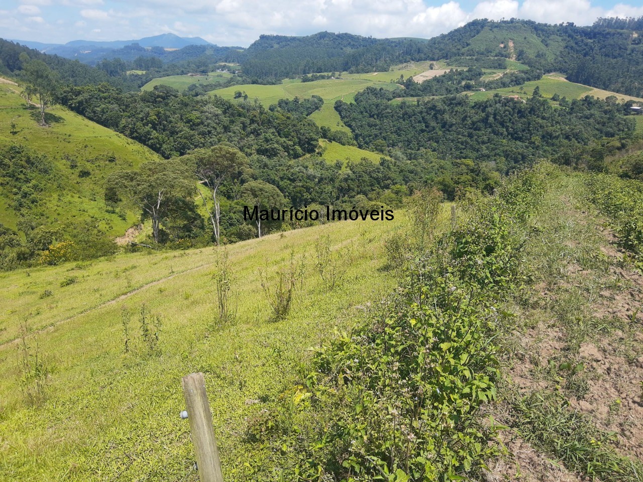 Fazenda à venda com 2 quartos, 11m² - Foto 10