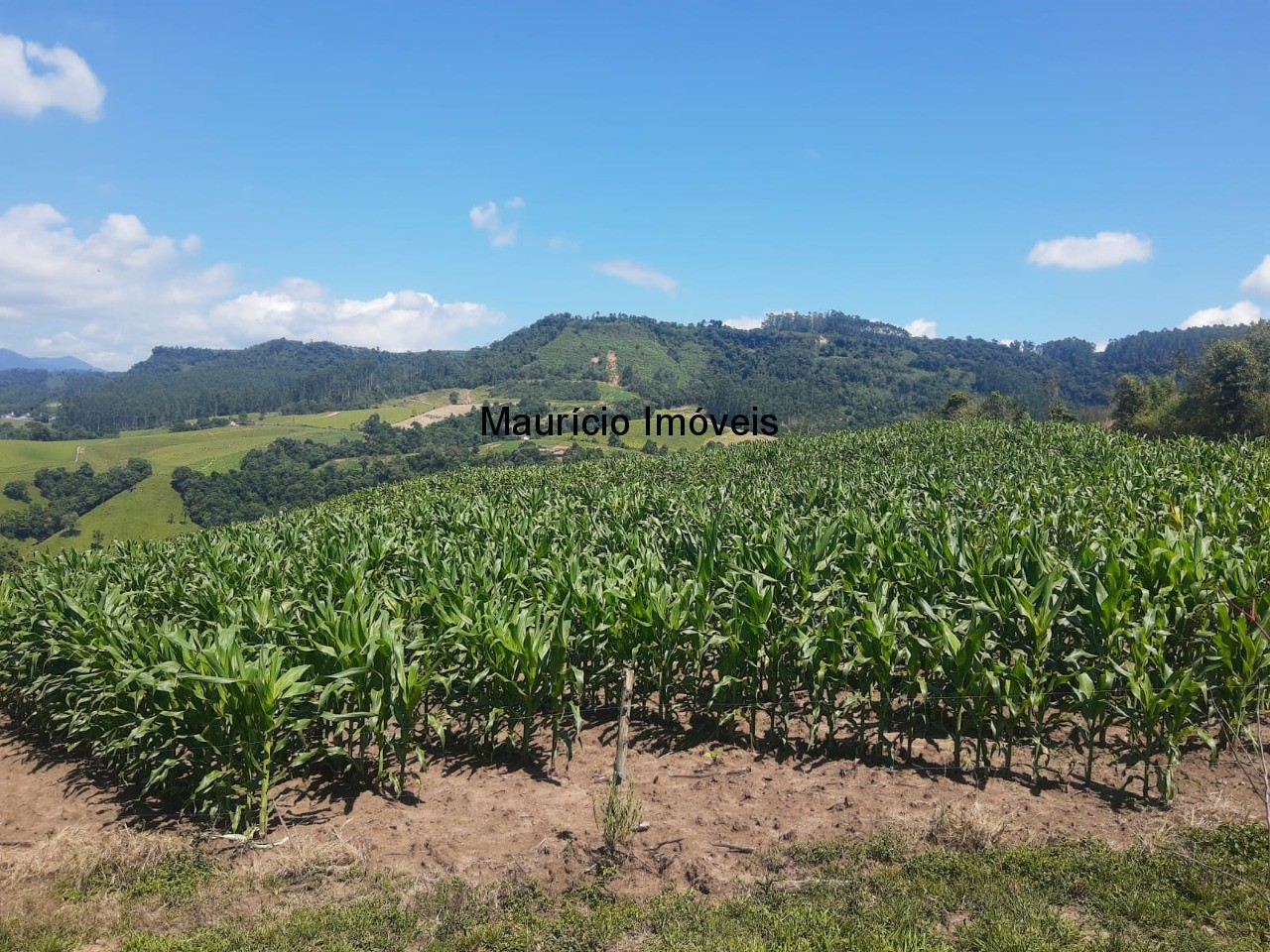 Fazenda à venda com 2 quartos, 11m² - Foto 16